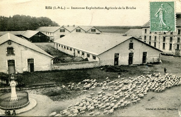 Rillé