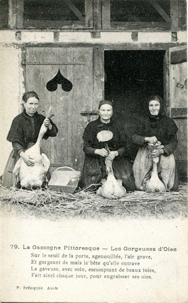 La Gascogne Pittoresque : Les Gorgeuses d'oies