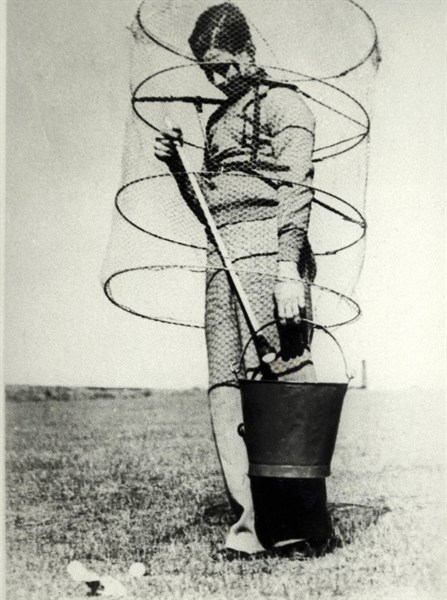 Device to protect against stray golf balls