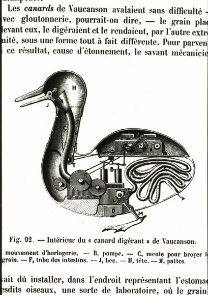 Interior of Vaucanson's digesting duck