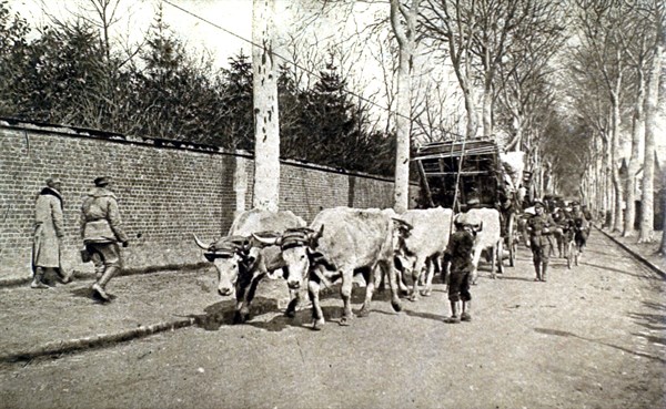World War I. Civilian population evacuated from the Somme on the Oise roads (1918)