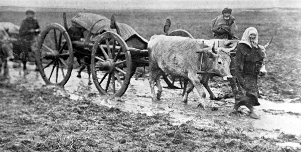 Turkish people fleeing the advancing Bulgarian army (1912)