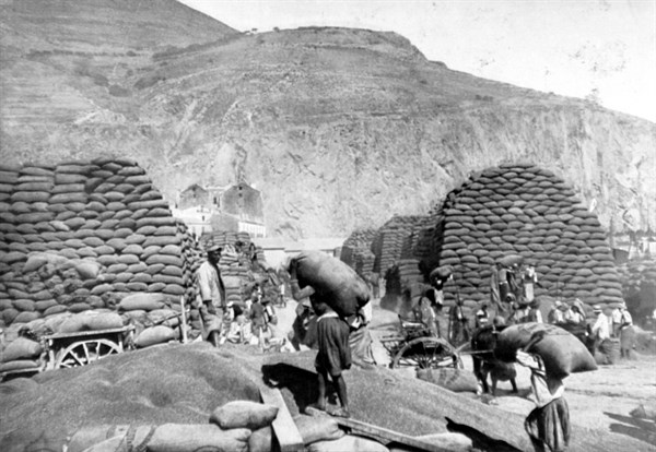 Exportation du blé algérien d'Oran vers la France (1910)