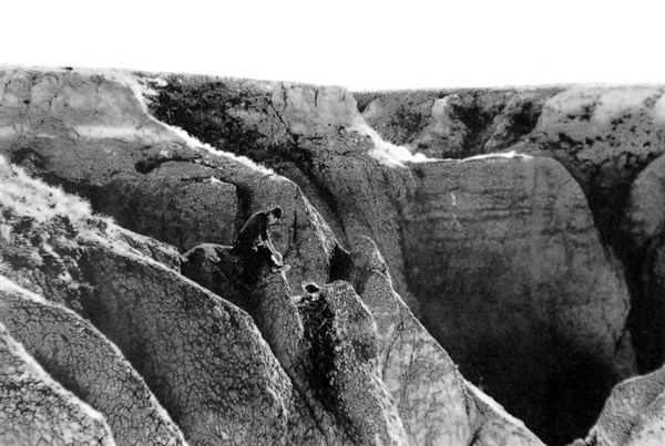 Mongolie. Expédition du Dr Roy Chapman Andrews dans le désert de Gobi (1928)