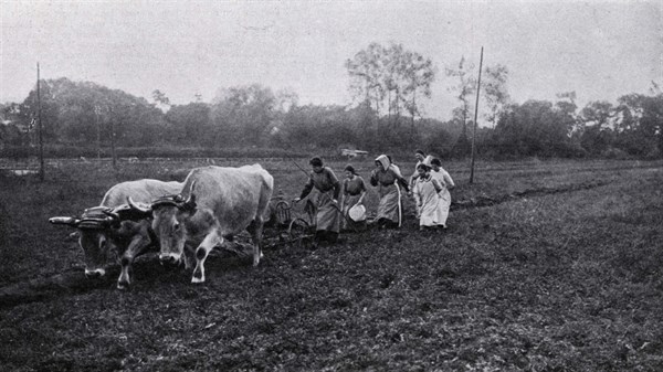 Labourage dans une ferme-école
