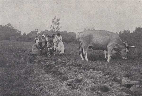 Creusement d'un sillon dans une ferme-école