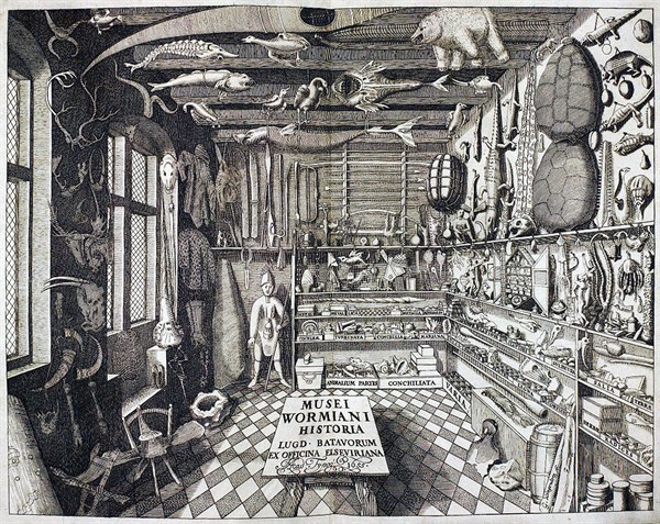 Worm, First page of Museum Wormianum