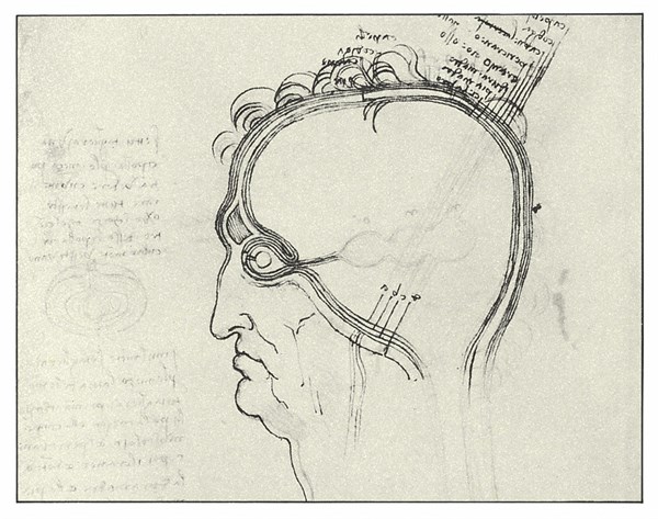 Center of the soul in three brain ventricles