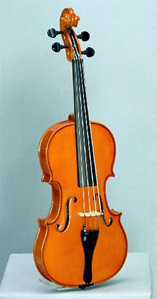 Violin