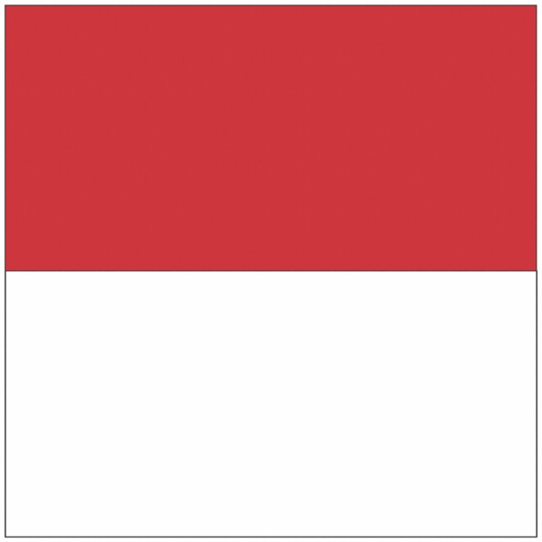 Flag of the canton of Solothurn