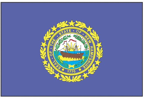 New Hampshire state flag