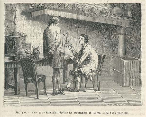 Les Merveilles de la science, 1867