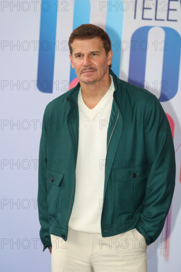David Boreanaz