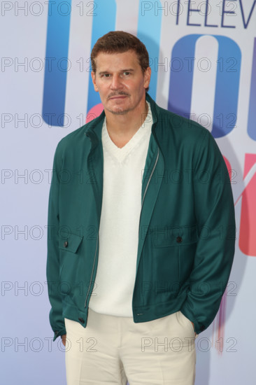 David Boreanaz