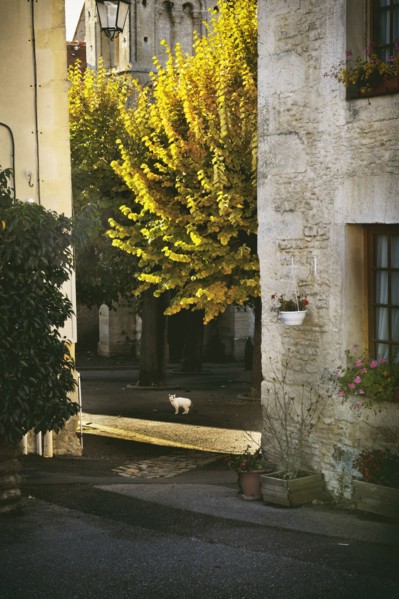 Chambois (Orne)