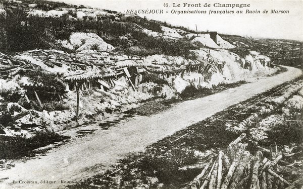 The Western Front during WWI