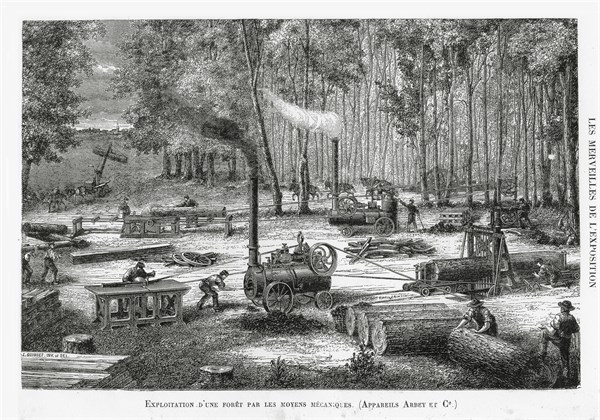 Exploitation d'une forêt avec des machines-outils, 1878