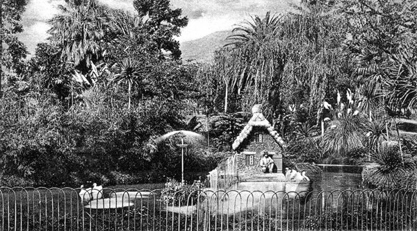 Madeira, public garden