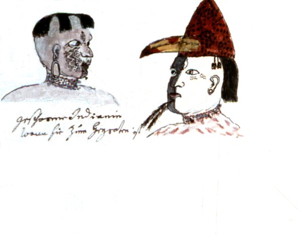 Zwettler Codex. Life of Guarani Indians seen by a Jesuit father
