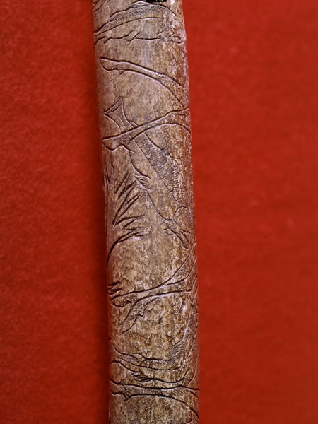 Engraved bone found in Lortet, France