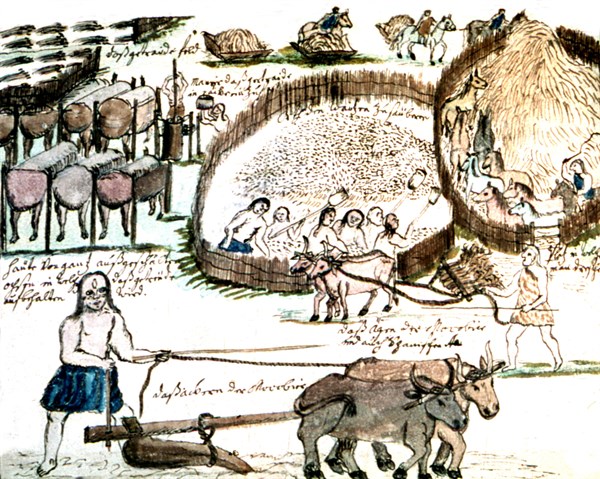 Zwettler Codex. Life of Guarani Indians seen by a Jesuit father