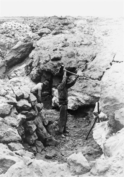 Travail dans les mines de nitrate au Chili