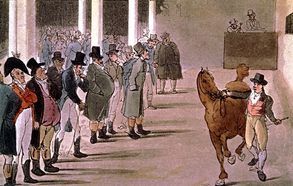 London, Horses for sale