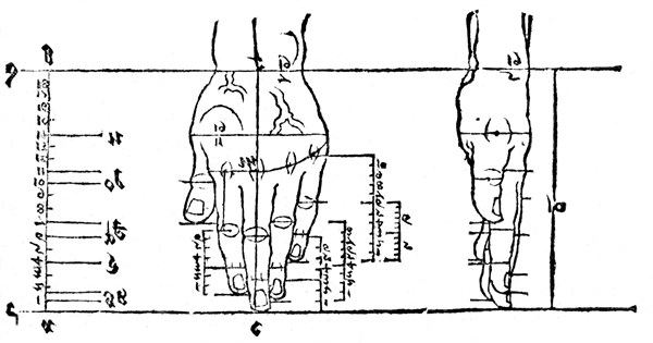 Dessin et proportion de mains