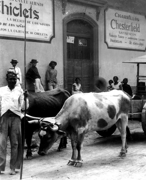 American advertisements in the street