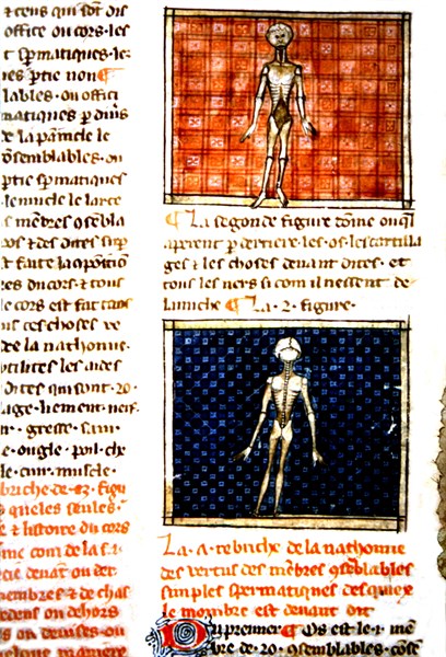 Medical manuscript