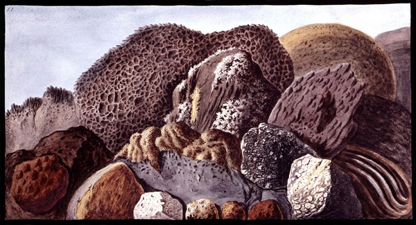 Campi Phelgrae (près de Naples), Composition de minéraux et éponges
