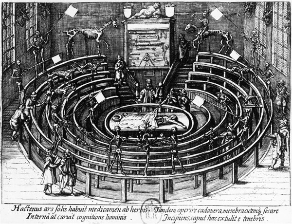 The anatomical theatre at Leiden