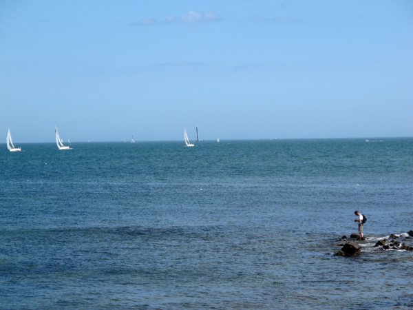 Paysage du Morbihan