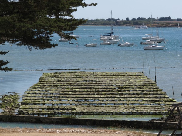 Parc a huitres dans la baie de Larmor Baden