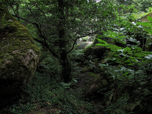 Vallee des Traouiero