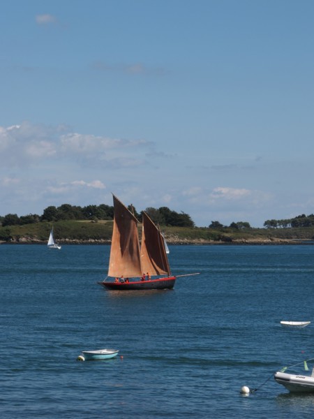 Voiliers au large de l'ile de Berder en Bretagne