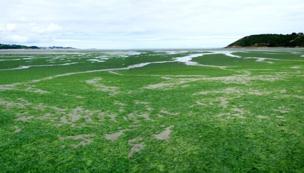 Plage de Saint-Michel-en-Grève en Bretagne