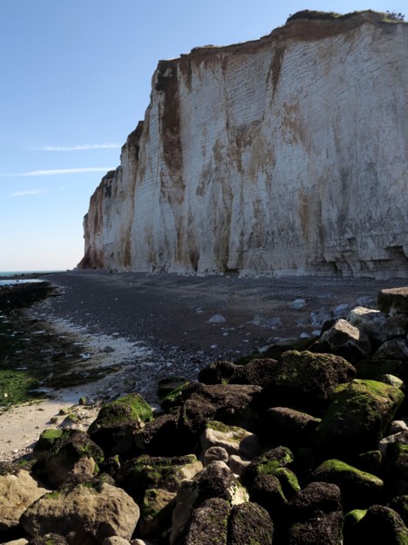 Falaise des Petites-Dalles