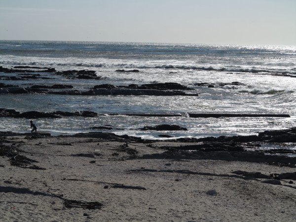 Le Cap, Sea Point