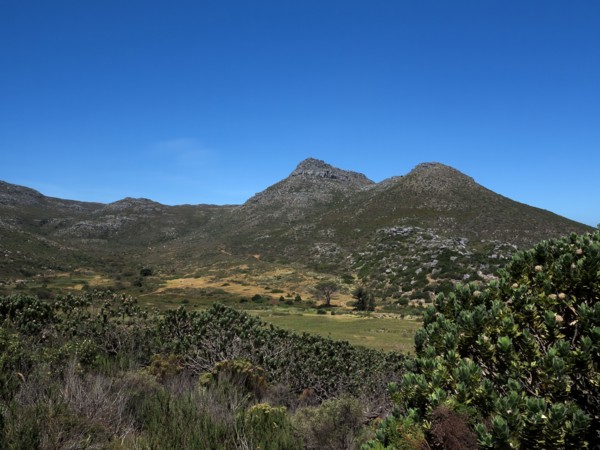 Le Cap, Kommetjie