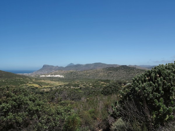 Le Cap, Kommetjie