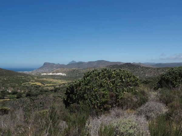 Le Cap, Kommetjie