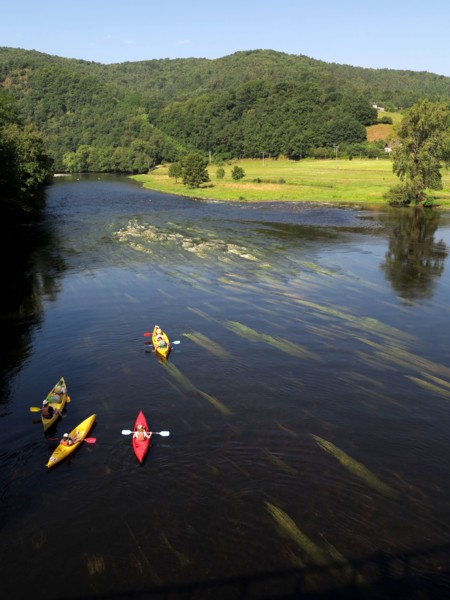 Canoes sur la Dordogne