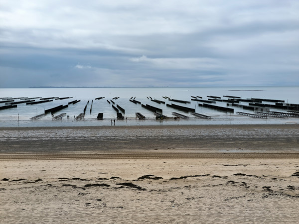Parcs à huîtres et bouchots à moules en Normandie