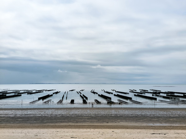 Parcs à huîtres et bouchots à moules en Normandie