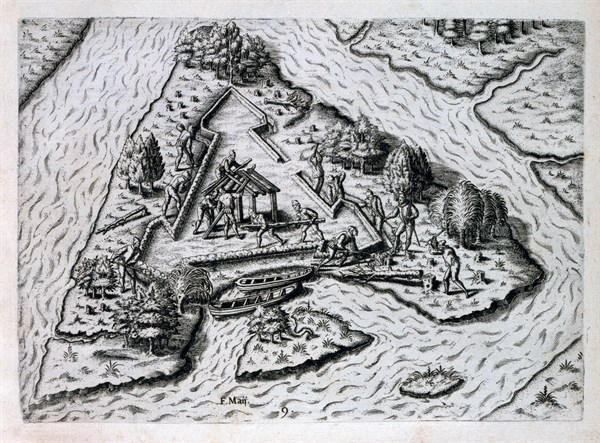Expedition of the French Huguenots in Florida, under the commandment of René de Goulaine de Laudonnière in 1564