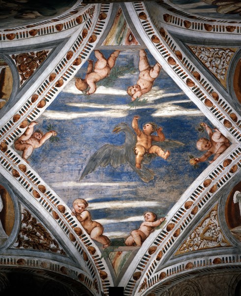 The Abduction of Ganymede