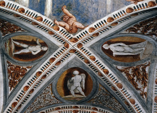 Vault from the loggia of the Buonconsiglio Castle, Trento (Italy)