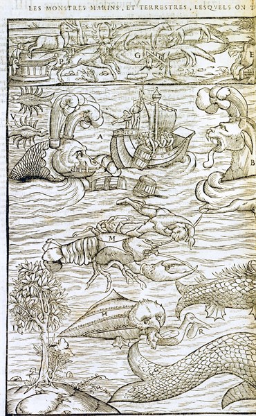 Northern Hemisphere Land and Sea Monsters