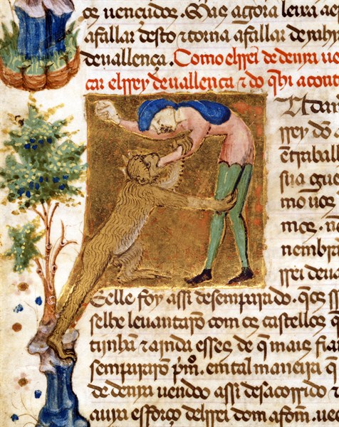 Explorer attacked by a monkey